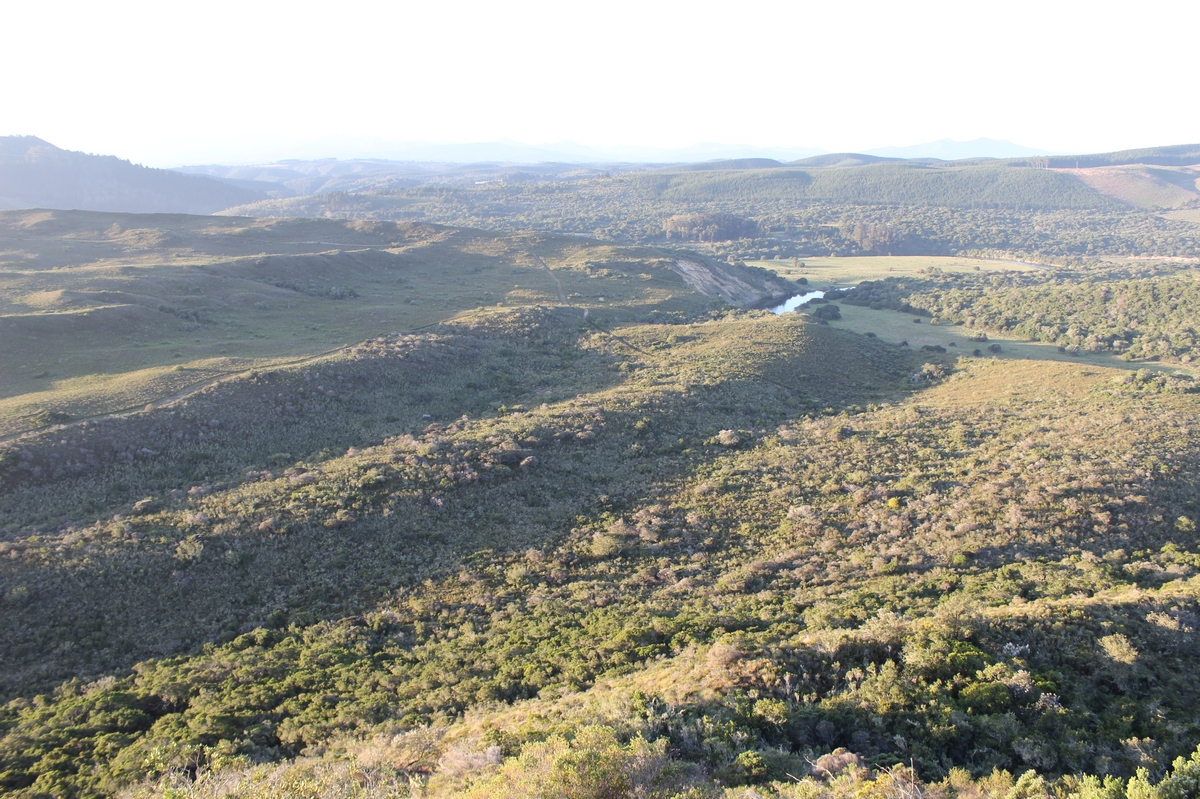 Suedafrika_2 (58).JPG